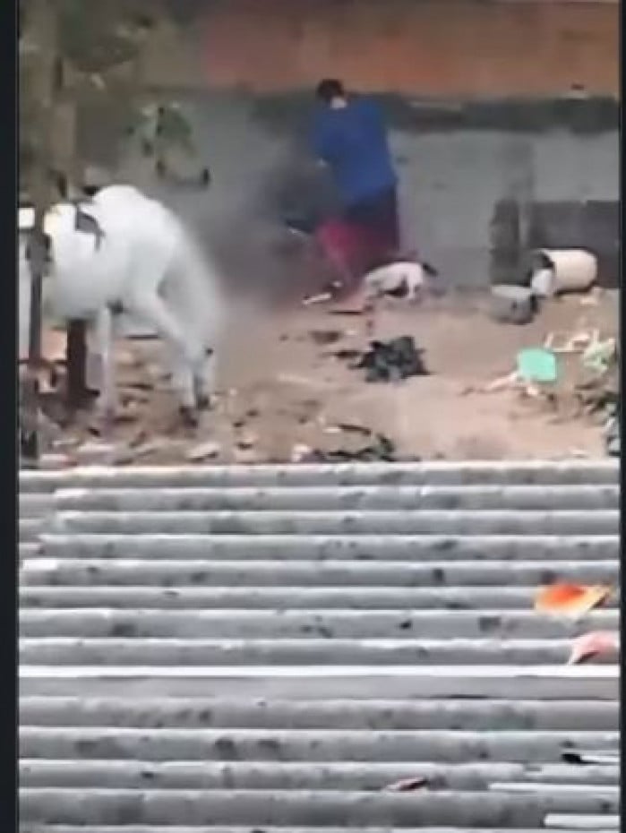 Homem foi flagrado agredido cachorro