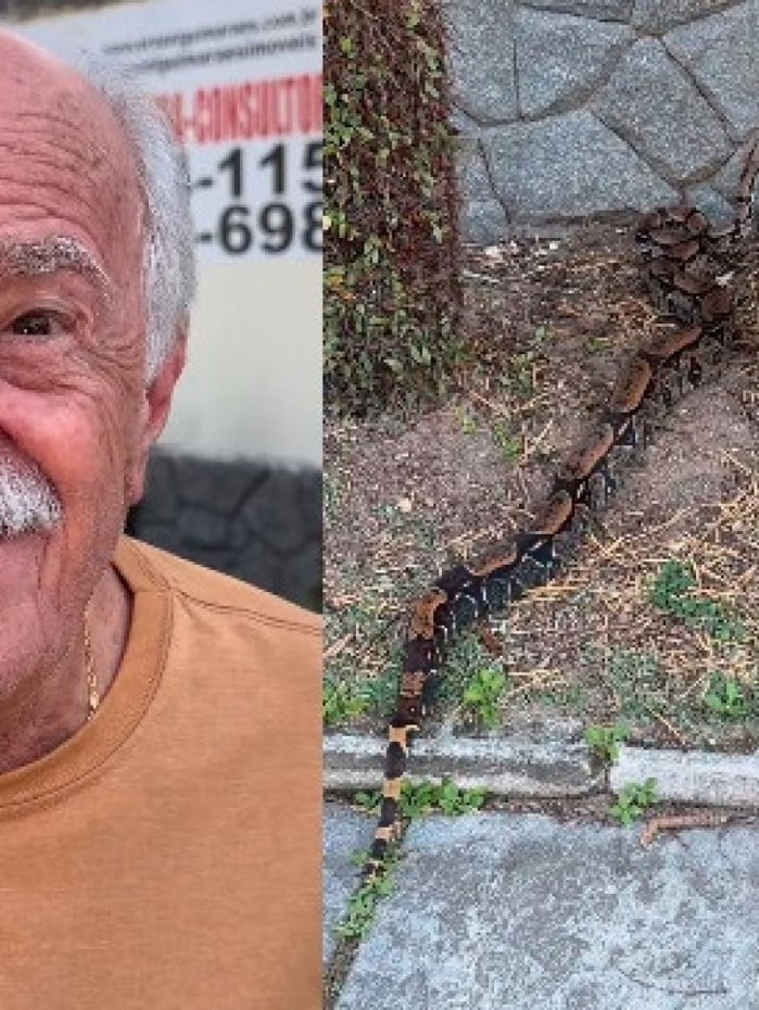 Ary Fontoura encontra cobra em sua casa