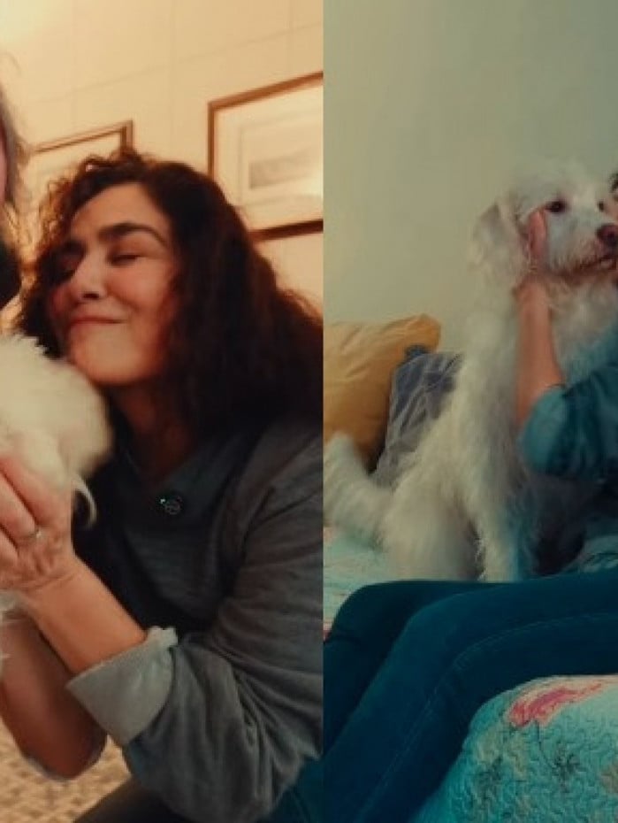 Let&iacute;cia Sabatella mostra reencontro com cachorro ap&oacute;s decis&atilde;o judicial