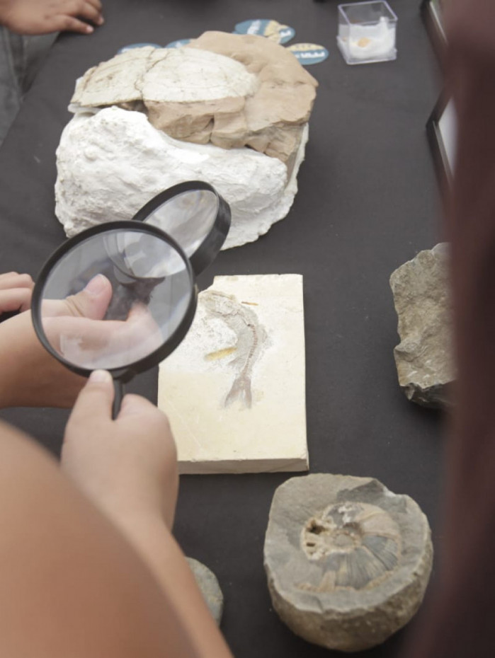 P&uacute;blico p&ocirc;de interagir com objetos de pesquisa durante festival do Museu Nacional