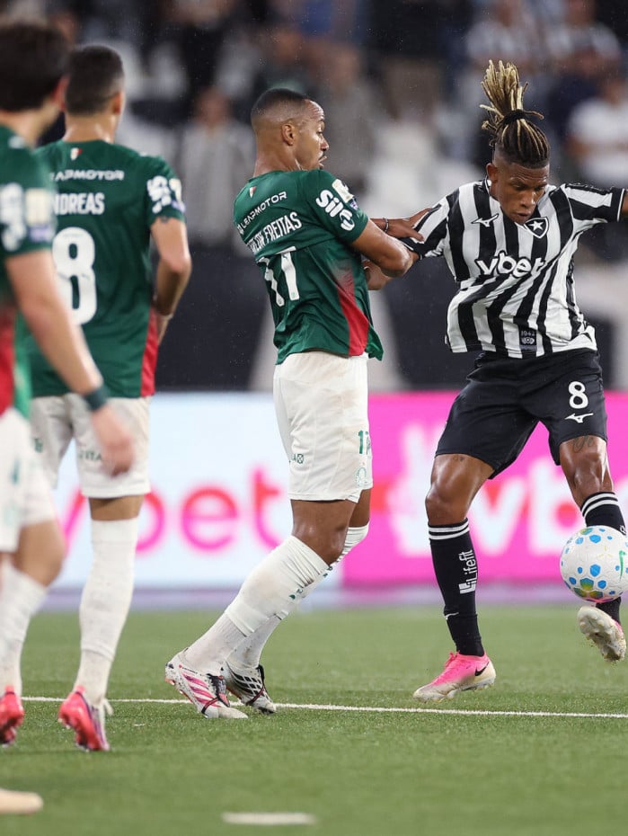 Botafogo enfrentou o Palmeiras, no Nilton Santos, pela 26&ordf; rodada do Brasileir&atilde;o