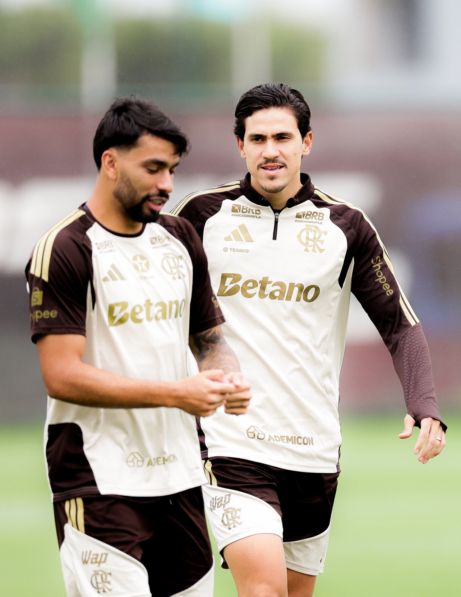 Pedro e Paquetá