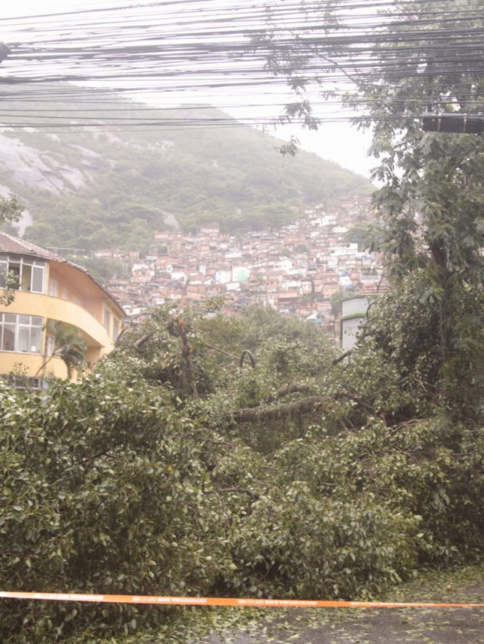 Tr&acirc;nsito fica intenso na Rua S&atilde;o Clemente ap&oacute;s queda de &aacute;rvore.
