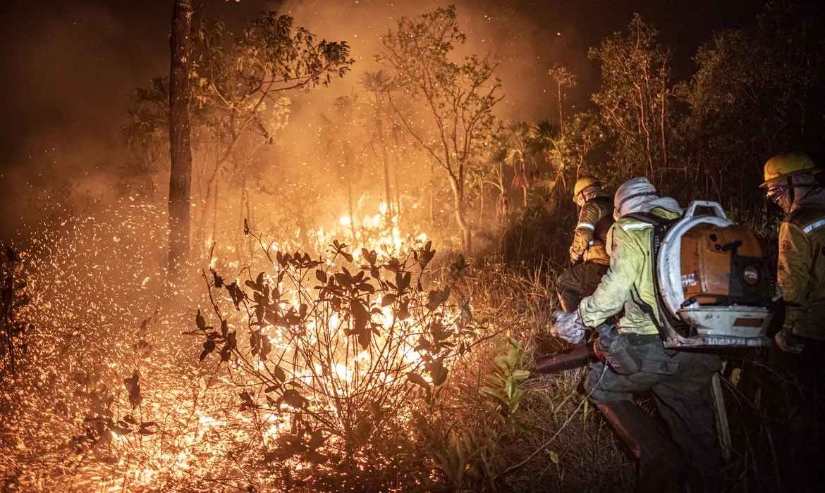 Ibama extingue 229 inc&ecirc;ndios no Amazonas e segue no combate ao fogo
