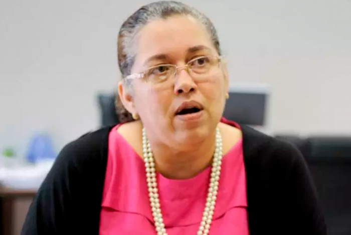 Suely Araújo deixa a presidência do Ibama
