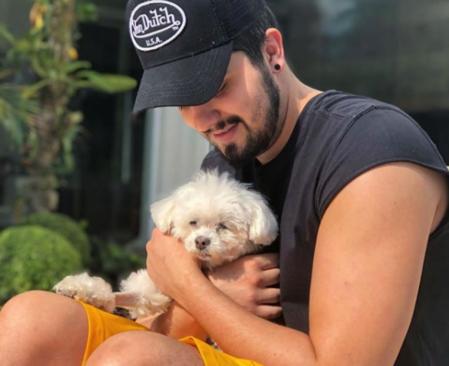 O c&atilde;ozinho de pequeno porte tem 14 anos - idade avan&ccedil;ada para a esp&eacute;cie - e pesa apenas tr&ecirc;s quilos